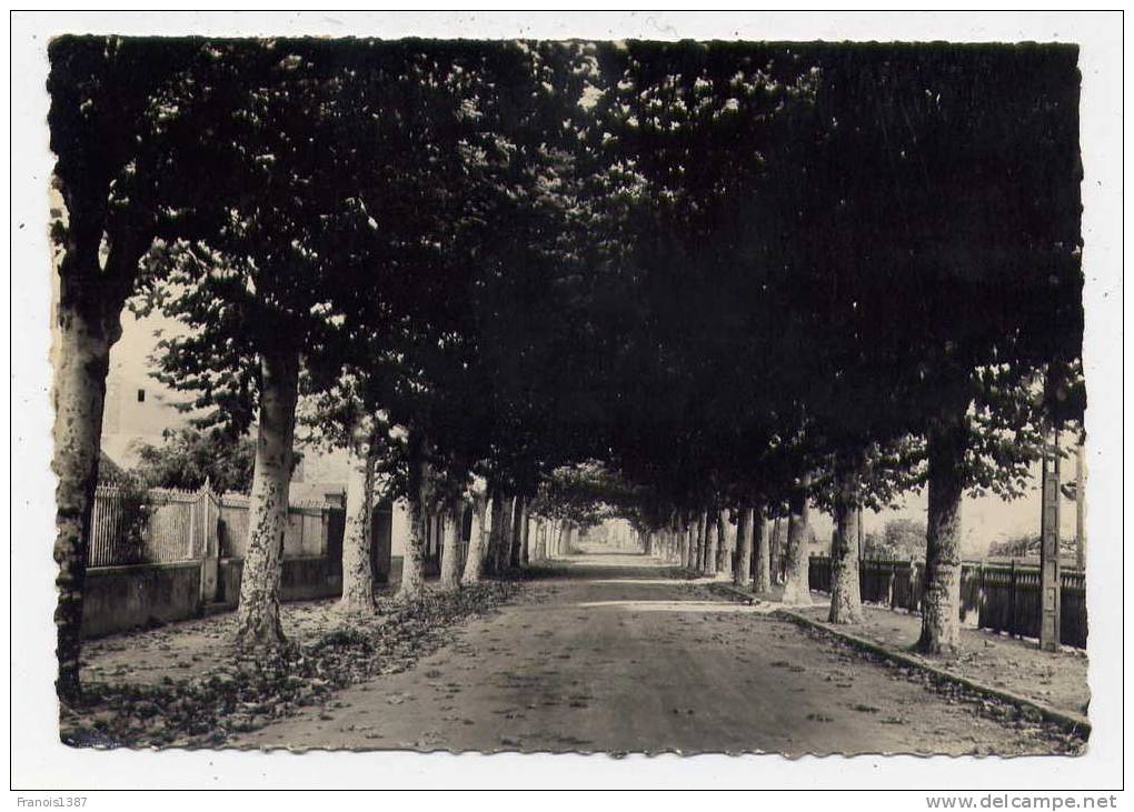 Ref 168 - IVRY-la-BATAILLE - Boulevard De La Gare (1958) (carte Semi-moderne Grand Format) - Ivry-la-Bataille