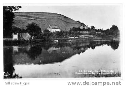 MAREUIL Su AY - Coteau - La  Bouteille - Mareuil-sur-Ay