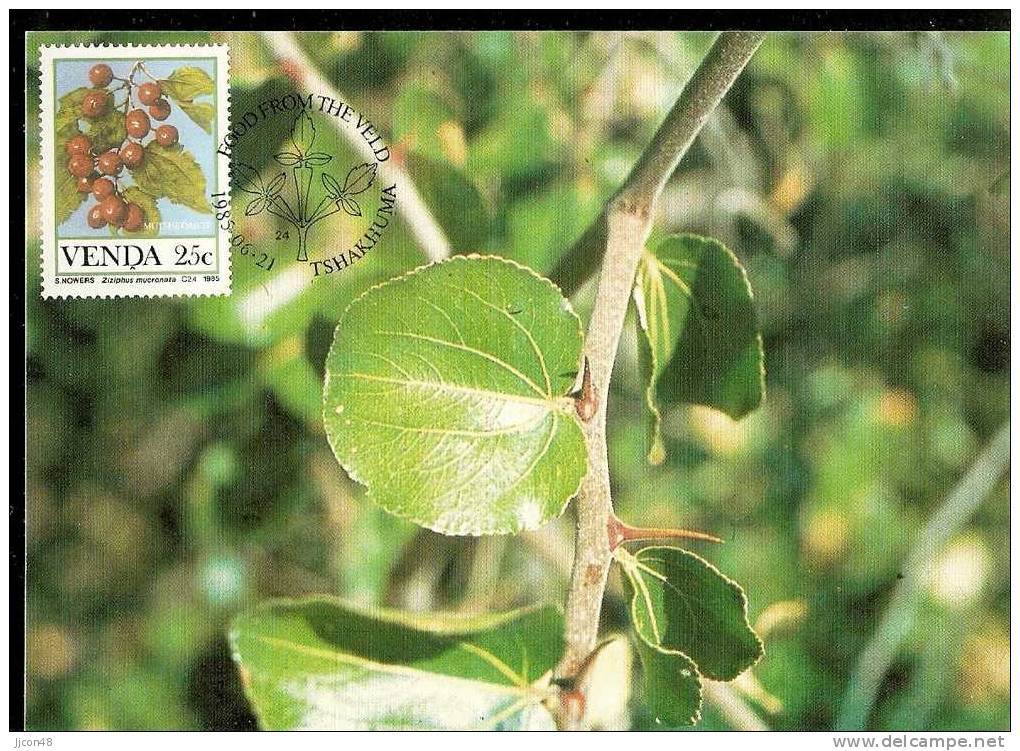 Venda  1985 Fruits Of The Veld  25c  Maxicard 23 - Venda