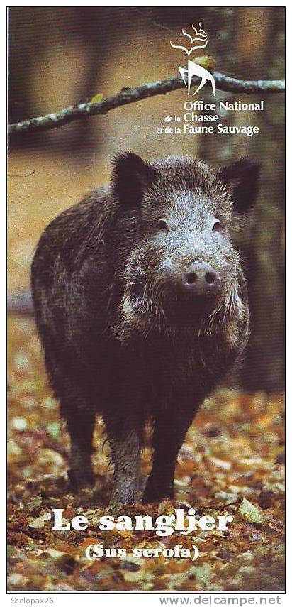 Plaquette D'informations "le Sanglier (sus Scrofa) " Produit Par L'office National De La Chasse - Non Classés