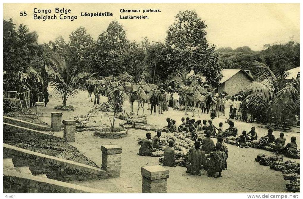 CONGO BELGE. BELGISCH CONGO. LEOPOLVILLE CHAMEAUX PORTEURS ( ENTIER POSTAL 5C VERT TIMBRE POSTE IMPRIME) - Kinshasa - Léopoldville