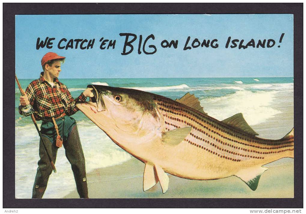 LONG ISLAND - FISHERMAN´S PARADISE - WE CATCH´EM BIG ON LONG ISLAND - FISH - Poissons Et Crustacés