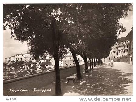 POGGIO CATINO ( RIETI ) PASSEGGIATA - Rieti