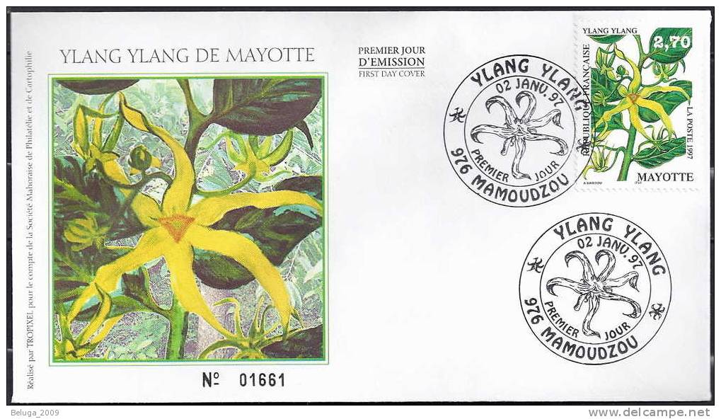 Mayotte 1997 Fleur Ylang Ylang FDC Enveloppe Premier Jour Numérotée - Société Mahoraise De Philatélie Et De Cartophilie - Brieven En Documenten