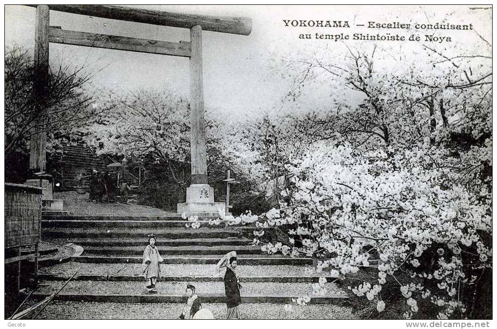 Escalier Conduisant Au Temple Shintoïste De Noya - Yokohama