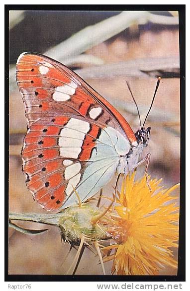 SERIE LOT  3 CPM   PAPILLONS Comité National De L´Enfance 1969 + BRASSARD - Butterflies