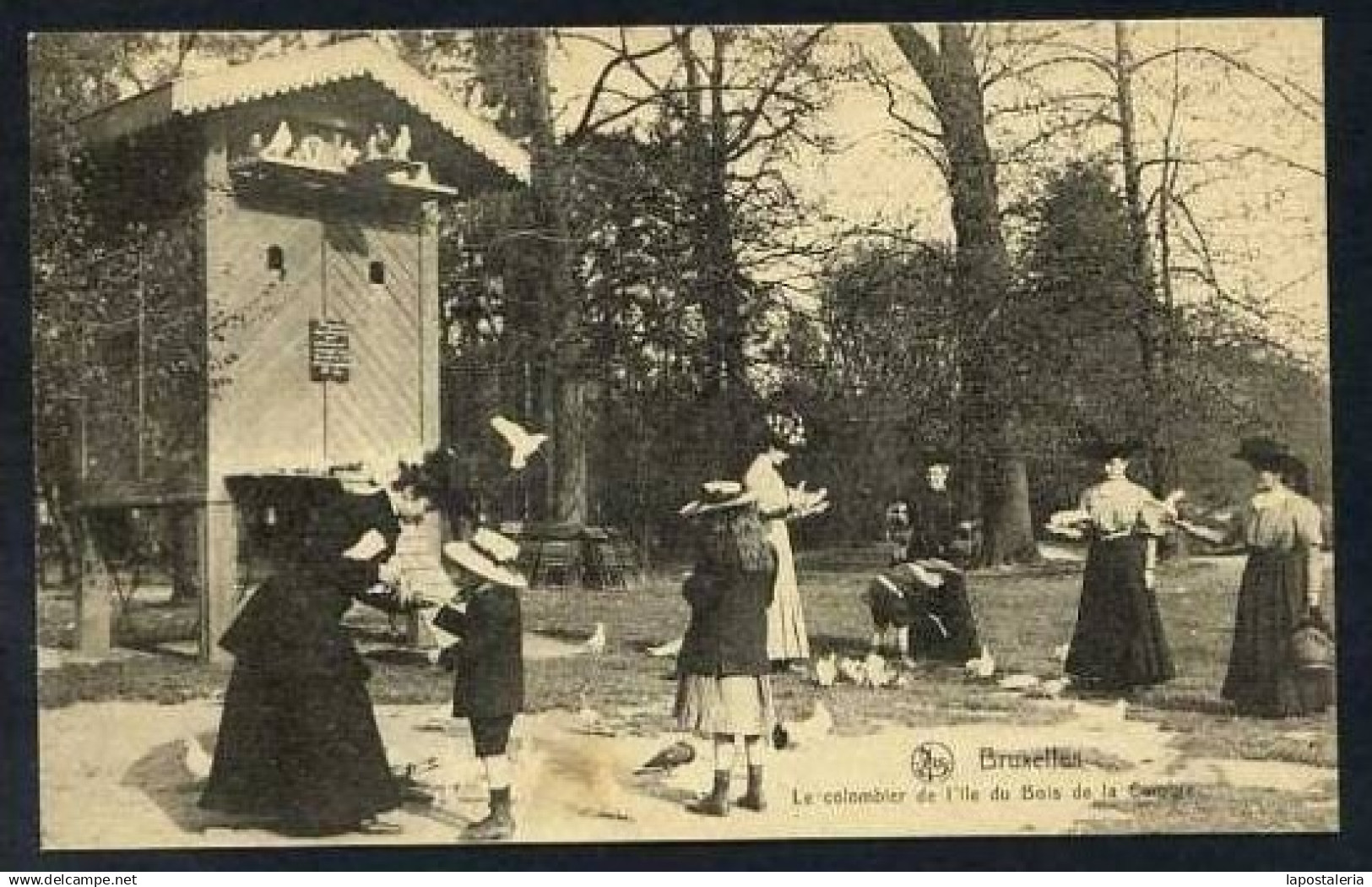 Bruxelles *Le Colombier De L'île Du Bois De La Cambre*  Ed. Nels.  Nueva. - Forêts, Parcs, Jardins