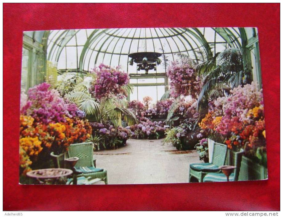 Conservatory In Empress Hotel Victoria BC 1959 - Victoria