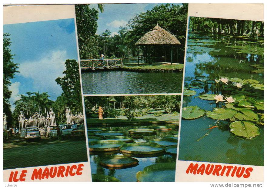 Ile Maurice - Jardin Botanique De Pamplemousses , Fleurs Flamboyants , Nenuphar CPM  Multivues Année 1983  X - Mauritius