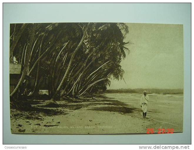 5286 TRINIDAD WEST INDIES  COCO NUT PALMS MAYATO BEACH   YEARS  1920  OTHERS IN MY STORE - Trinidad