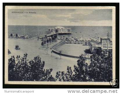 SENIGALLIA LA ROTONDA VIAGGIATA 1935 CODICE C.282 - Senigallia