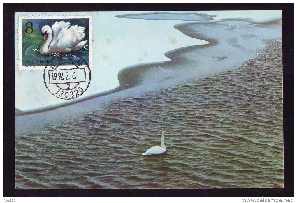 Maximum Card ,Maxicard,BIRD CYGNES  1992,China Chine. - Cygnes