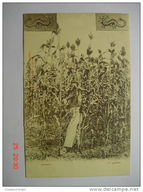 5178 RUSSIA RUSSIAN URSS RUSIA  LE GAOLAN ETHNIC AGRICULTURE    YEARS  1910  OTHERS IN MY STORE - Landbouw