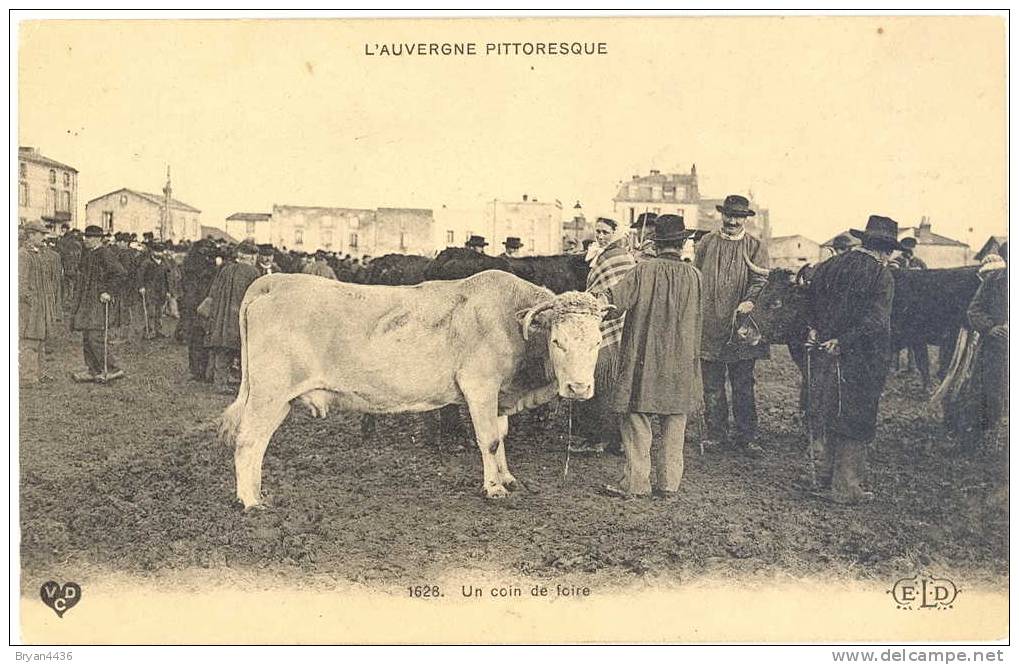 CPA - Un Coin De FOIRE -  N° 1628- L´AUVERGNE PITTORESQUE- Carte En PARFAIT ETAT (voir Scan). - Allevamenti