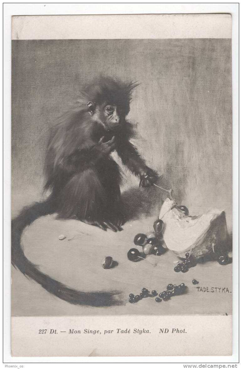 MONKEY - Monkey & Fruits, Old Postcard, 1911., Styka Pinx - Apen