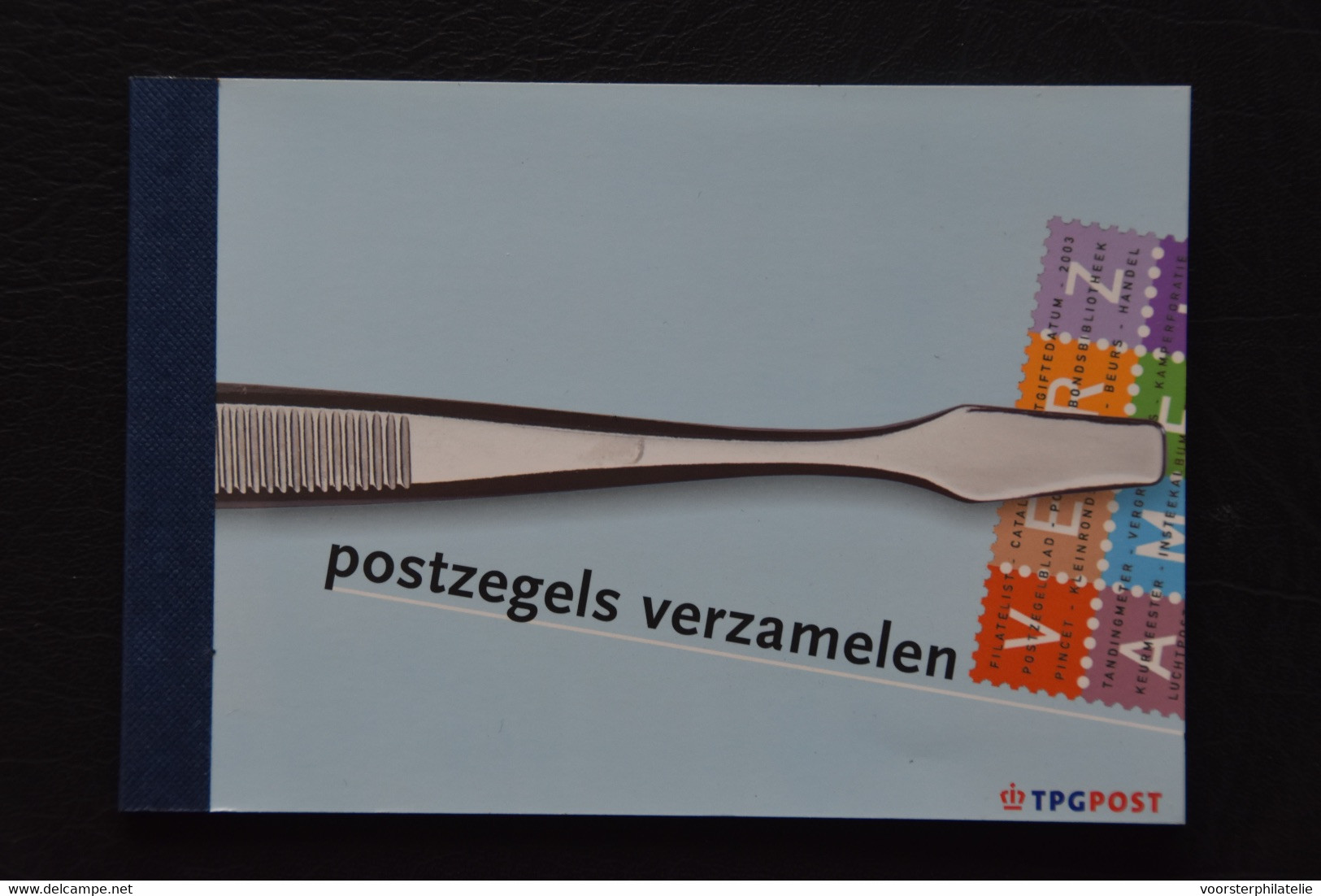 NETHERLANDS NEDERLAND PRESTIGE BOEKJE PR 01 MNH - Postzegelboekjes En Roltandingzegels