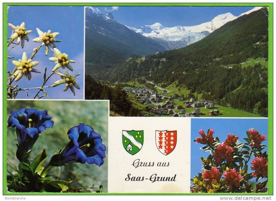 CPM 1980 Valais Suisse - Gruss Aus Saas-Grund - Blasons, Fleurs Des Alpes, Edelweiss, Gentiane, Azalée / Timbre 1980 - Saas-Grund