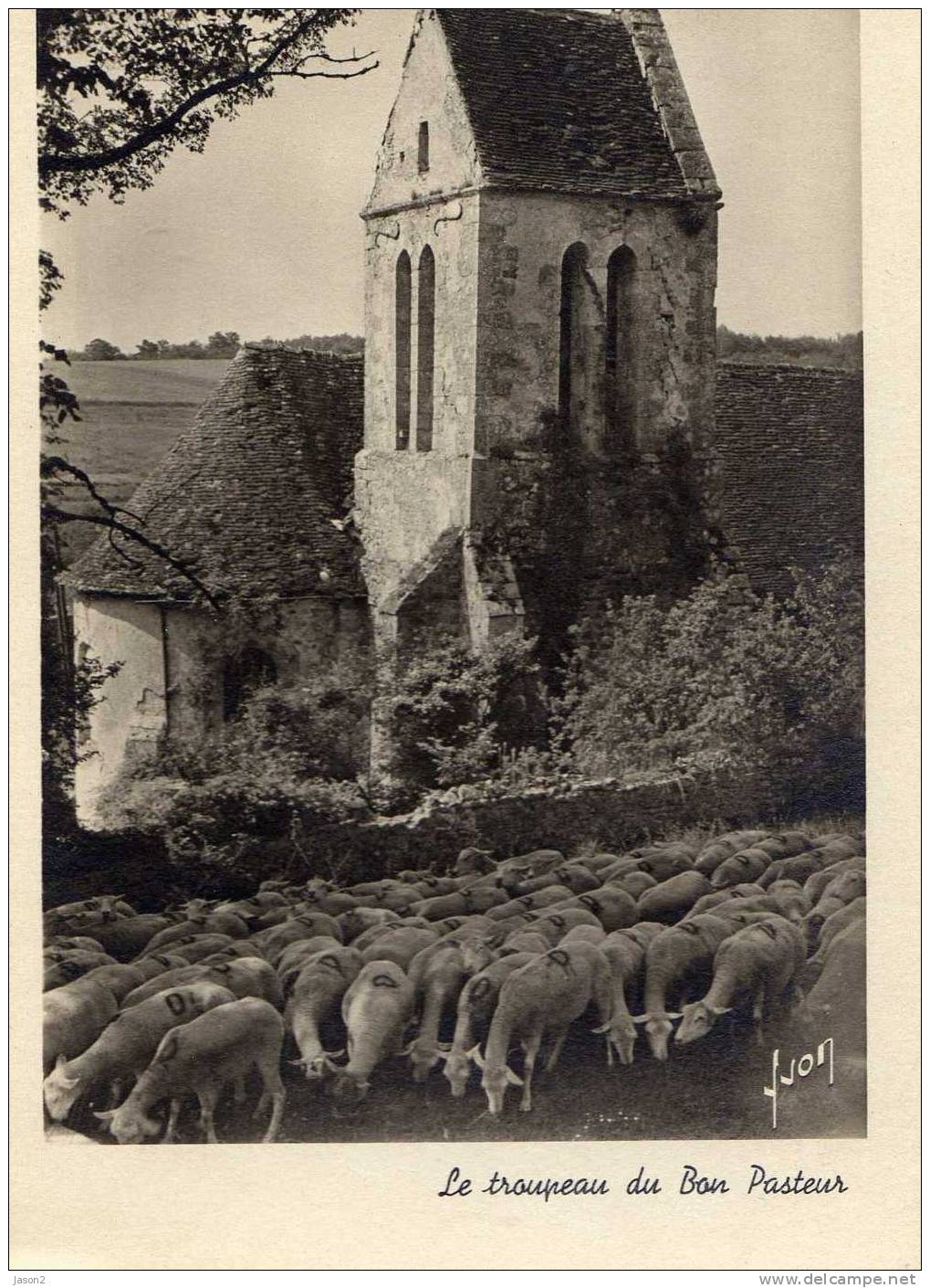 Cpsm Dentelee Le Troupeau De Mouton Du Bon Pasteur Non Circulee - Viehzucht