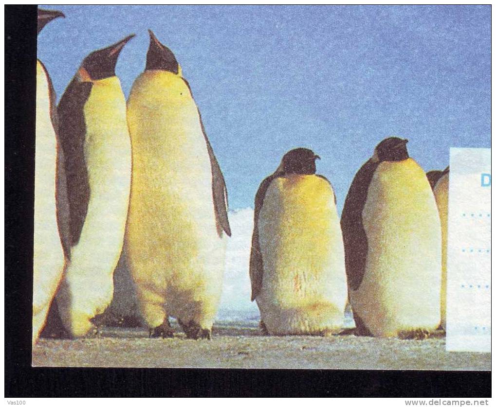 Pingouins & Manchots,Explorer Racovita Ship Belgica In Antarctica,stationery Cover 1997 Romania. - Pingueinos