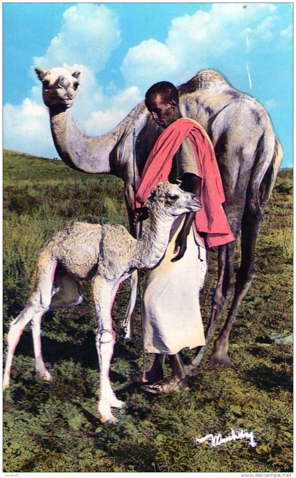 SOMALIE - Le Fier Guel Djiré - Somalie