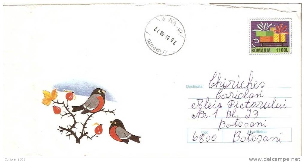 Romania / Postal Stationery / Cancellation CAMPURI - Nouvel An