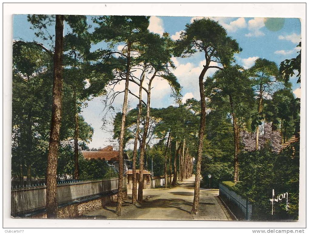 Beauchamp (95) : L'Avenue Des Sapins En 1968. - Beauchamp