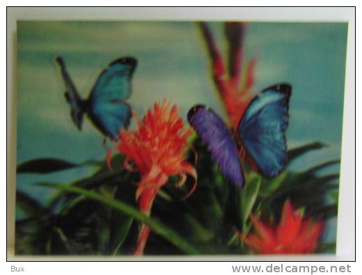 BUTTERFLIES  FARFALLA  3D TRIDIMENSIONALE POSTCARD UNUSED  NON VIAGGIATA   COME DA FOTO - Mariposas