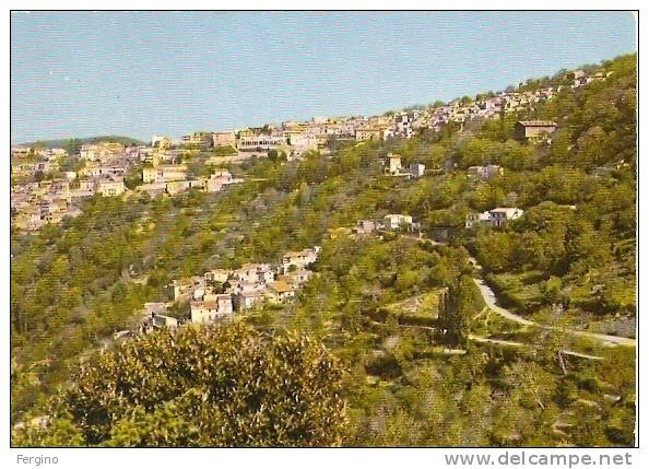 8270 - TONARA (NUORO) - Panorama - Nuoro