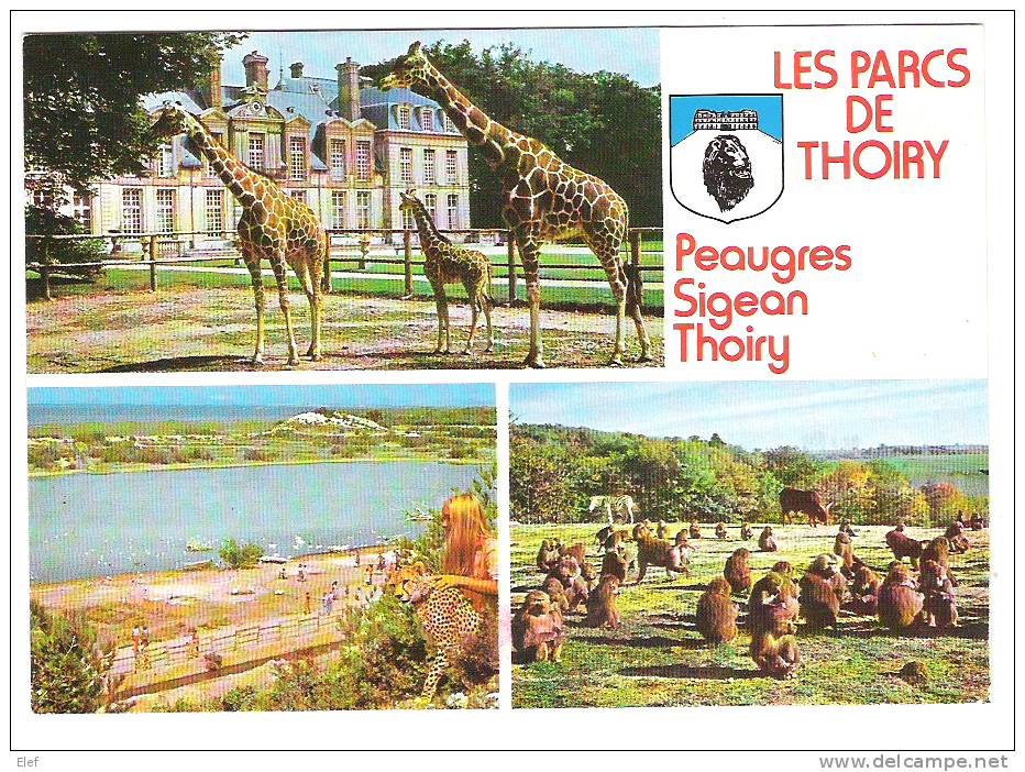 THOIRY EN YVELINES:le Chateau,les Parcs;Peaugre,Sigean;GUEPARD,Girafe;Singe Babouins Monkeys Baboons;Blason LION,1979,TB - Thoiry