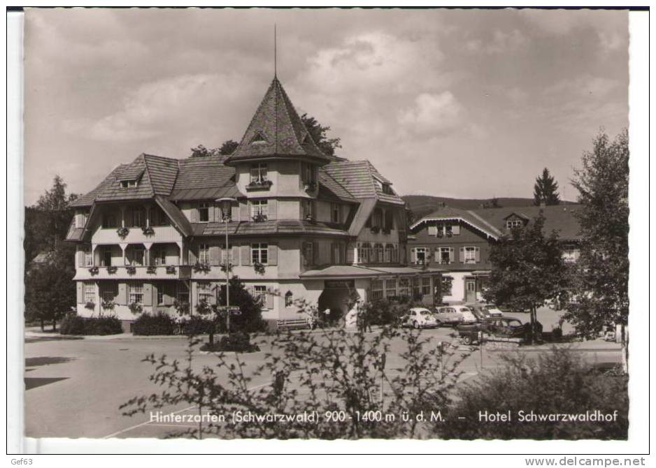 Hinterzarten (Schwarzwald) - Hotel Schwarzwaldhof - Hinterzarten