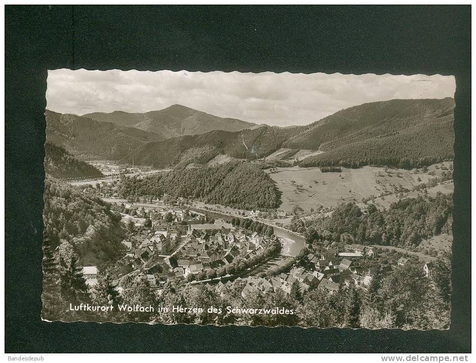 CPSM - Allemagne - WOLFACH - Luftkurort Wolfach Im Herzen Des Schwartzwaldes ( Josef Lorenz ) - Hochschwarzwald