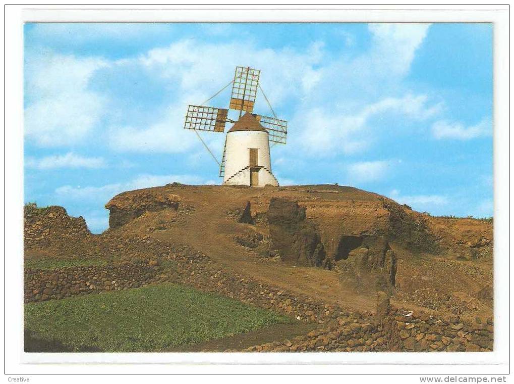 España. Espagne.LANZAROTE.Molino De Guatiza - Lanzarote