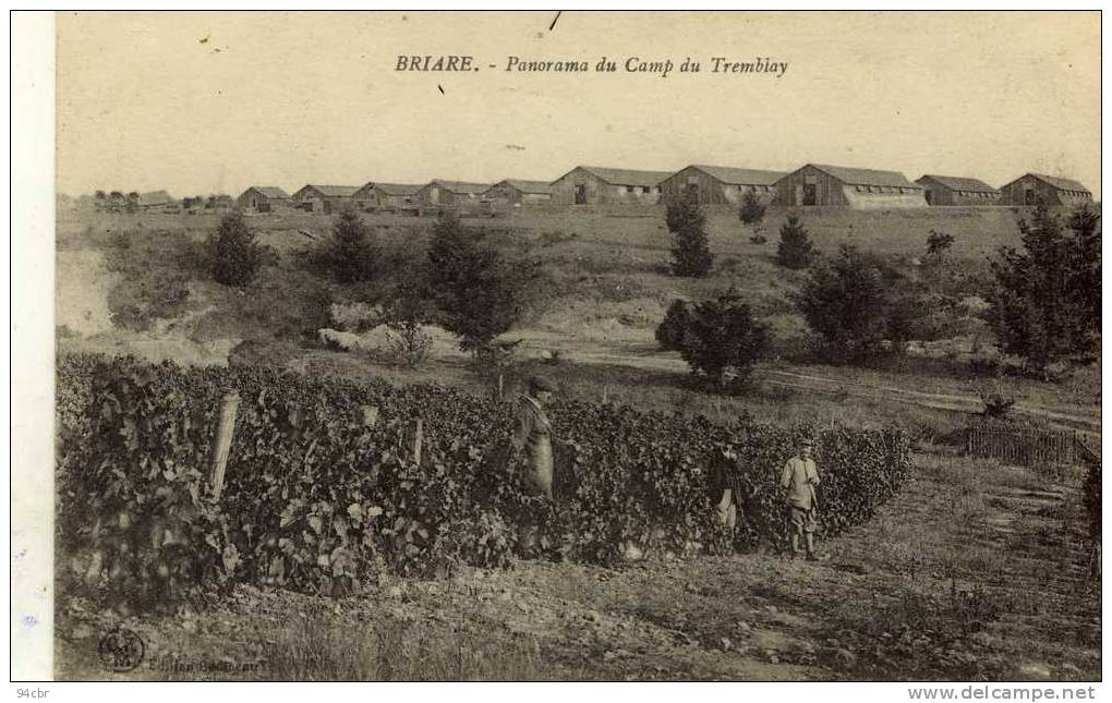 CPA (45) BRIARE Panorama Du Camp Du Tremblay (etat Luxe) - Briare