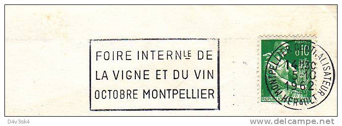 1962 France 34 Herault Montpellier Vins Vigne Vendanges Vignobles Wine Festival Vineyard Wines Vini Enologia Vigneti - Vins & Alcools