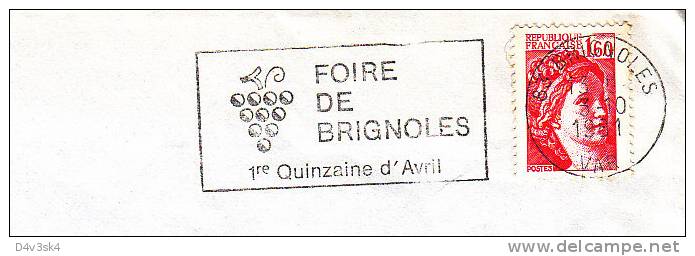 1981 France 83 Var Brignoles Vins Vigne Vendanges Vignobles Wine Festival Vineyard Wines Vini Enologia Vigneti - Wein & Alkohol