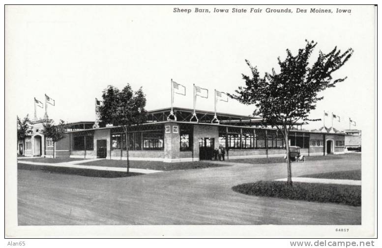 Des Moines IA, Sheep Barn Iowa State Fair Grounds Curteich Photo-Finish 1910s Vintage Postcard - Andere & Zonder Classificatie