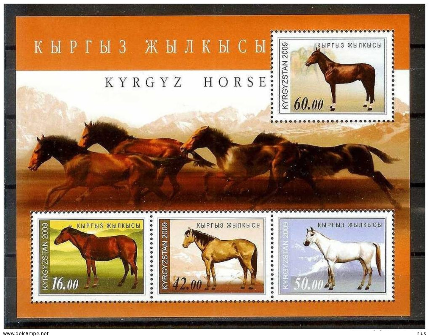 Kyrgyzstan 2009 Horse Horses Fauna - Kirghizistan