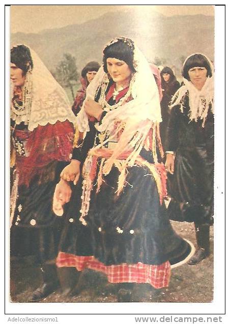 38432)cartolina Illustratoria Costumi Albanesi - Albania