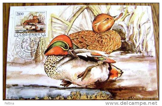 1989 YUGOSLAVIA MAXIMUM 2 CARD DUCK DUCKS PROTECTED ANIMALS WWF - Patos