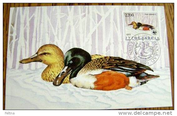 1989 YUGOSLAVIA MAXIMUM 3 CARD DUCK DUCKS PROTECTED ANIMALS WWF - Entenvögel