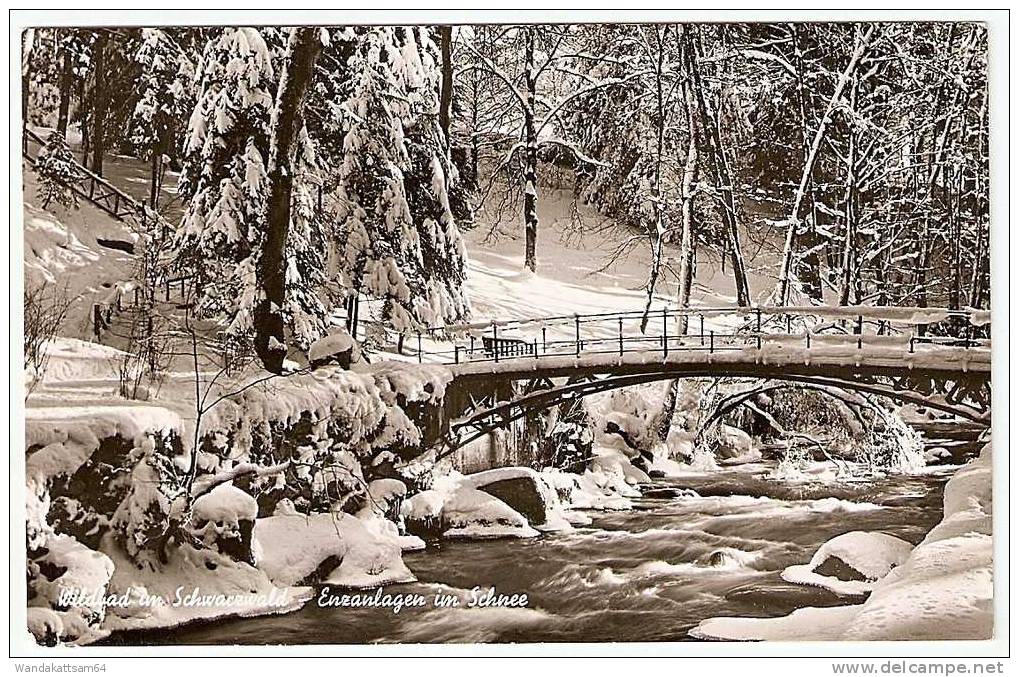 AK 10 Wildbad Im Schwarzwald Enzanlagen Im Schnee 10.1.64 7547 WILDBAD IM SCHWARZWALD Jederzeit Kur-u.badbereit - Calw