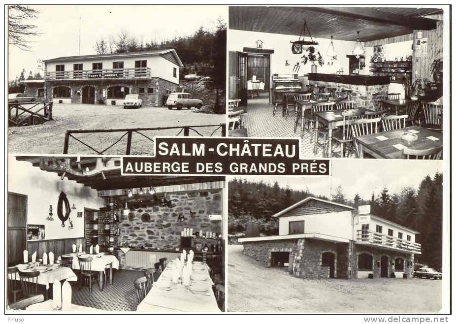 B1572  VIELSAM / SALM-CHATEAU : Auberge Des Grand Pres - Vielsalm