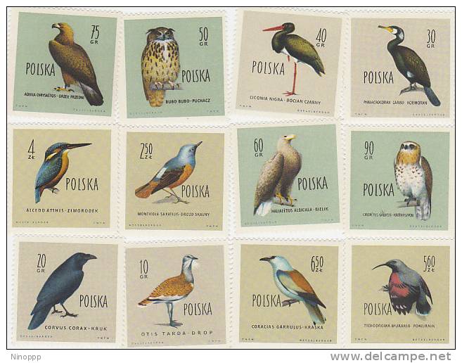 Poland- Birds Set 12 MNH - Other & Unclassified