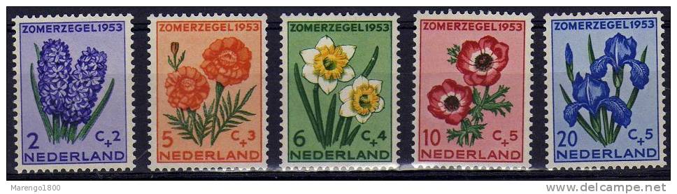 Nederland 1953 **   (g352b) - Unused Stamps