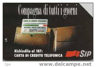 # ITALY 217 Campagna Di Tutti I Giorni TP (30.06.95) 2000    Tres Bon Etat - Public Ordinary