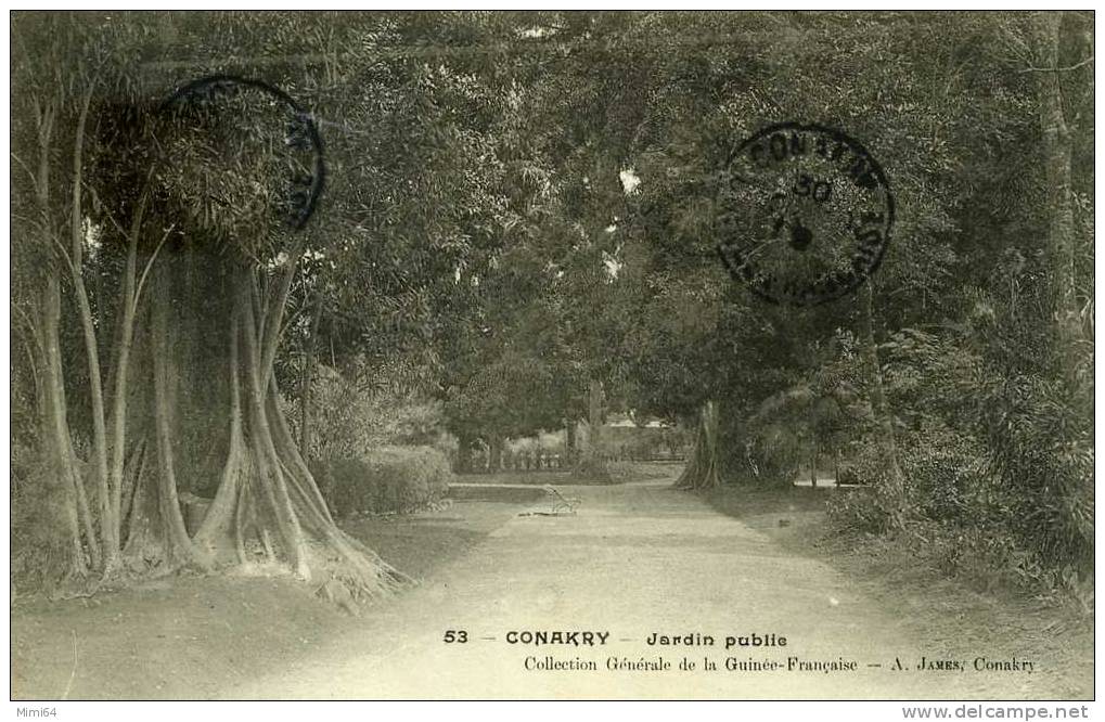 CONAKRY . JARDIN PUBLIC . - Guinea