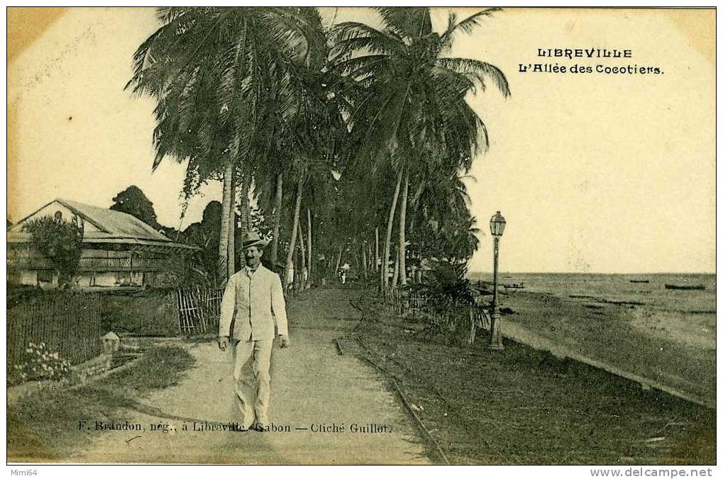 LIBREVILLE .   L'ALLEE DES COCOTIERS . - Gabun