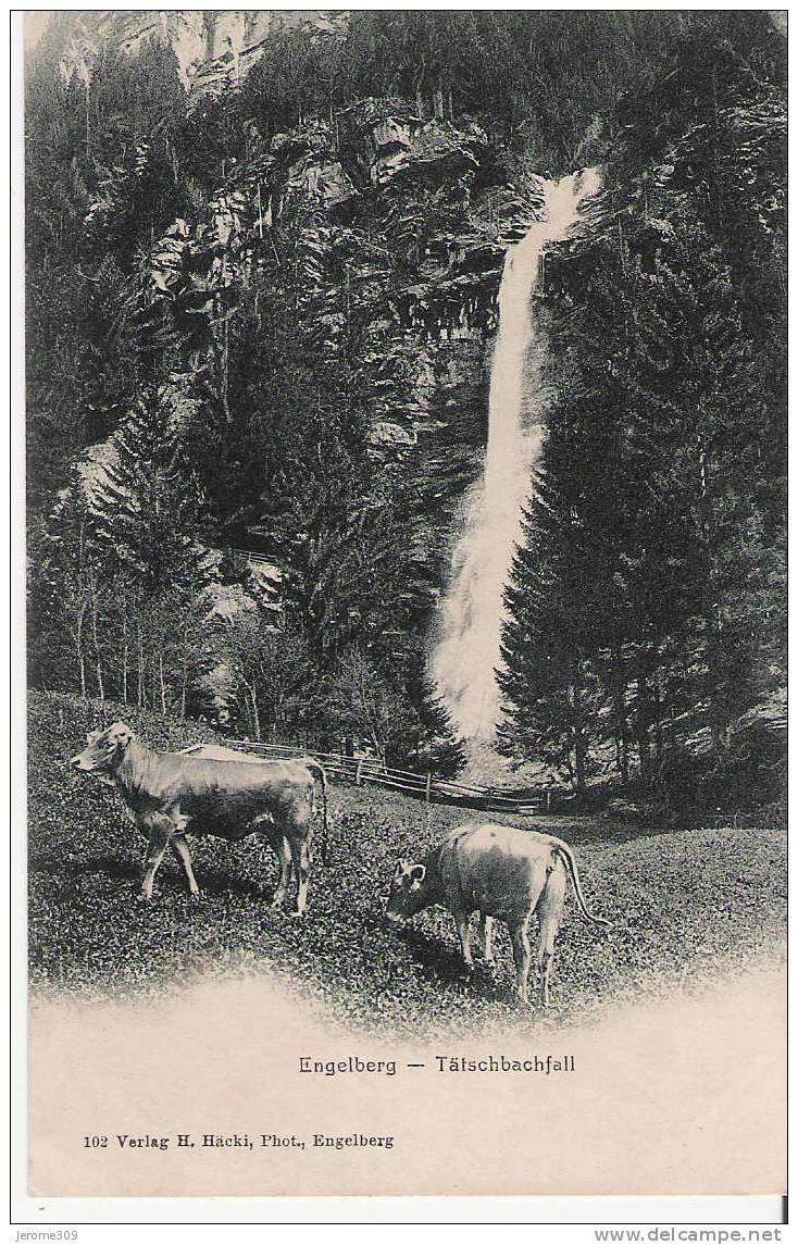 SUISSE - ENGELBERG - CPA - N°102 - Engelberg - Tätschbachfall, Vaches - Engelberg