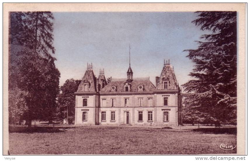 SEMBLANCAY   ¤  Le Château De La Gagnerie - Semblançay