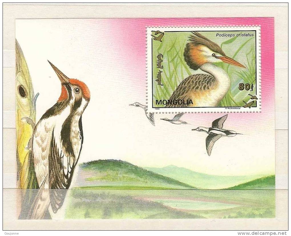 MONGOLIE Oiseaux   BF 195** - Piciformes (pájaros Carpinteros)
